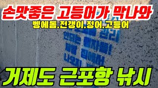 거제 근포항 손맛 좋은 고등어가 막 나와 #캠핑 #차박 #낚시 