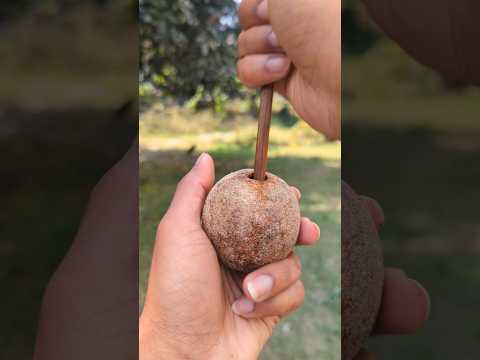Tasty Masala Woodapple | Surprise At The End 😱 #shorts #food #masala #woodapple