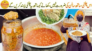 Tamatar Bengan Pudina Mirch Ki Chutney Recipe | Chatpati Chutney Recipe by Village Handi Roti