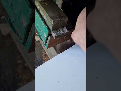 Кот упал откуда-то сверху и застрял