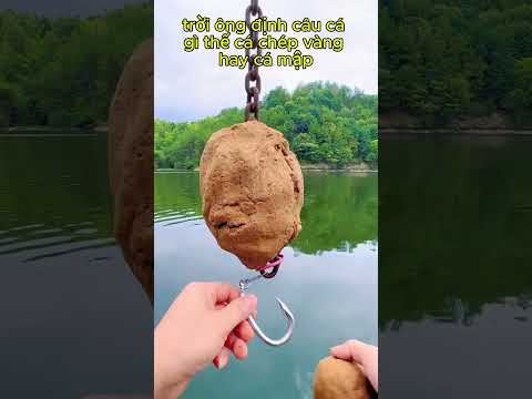 Mồi câu cá khủng lồ #cachcanphao #caucathugian