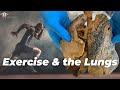 Understanding Lung Function and Adaptation