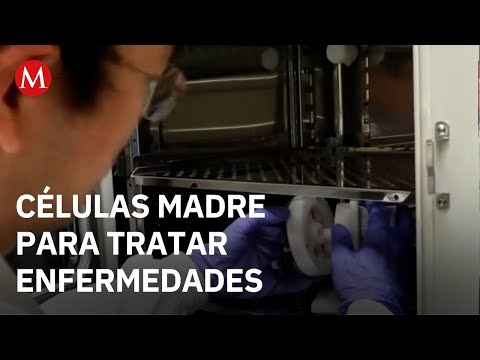 Proyectos espaciales aceleran descubrimientos en terapia con células madre