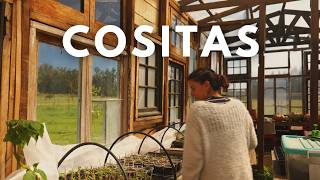 Cositas | Siembras y Primavera en nuestro Huerto