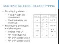 Exploring Punnett Squares with Multiple Alleles