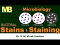 Microbiology Staining Techniques and Concepts