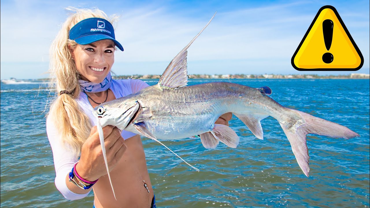 Giant VENOMOUS Saltwater Catfish Catch Clean COOK! Gafftopsail Catfish Taste Test!