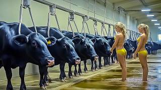 Incredible Modern Farming: Smart Cow Care, Calf Birth, and Advanced Milking Techniques
