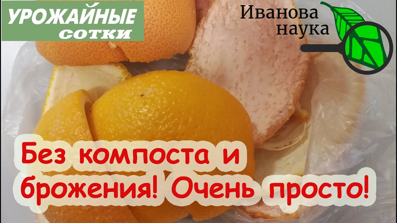Теперь собираю гораздо больше! Эти корки ценное удобрение для плодородия и урожая!