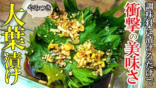 【大量消費】『大葉の醤油漬け！』☆調味料混ぜて浸けるだけ！簡単やみつきおつまみ☆