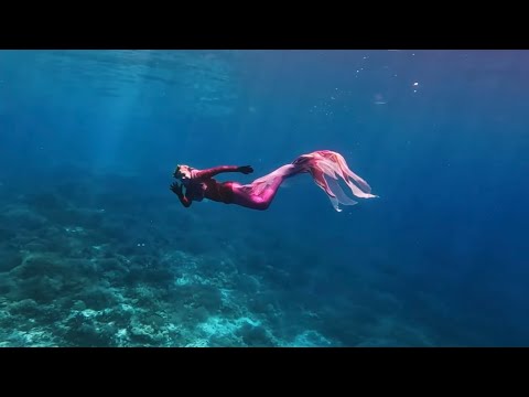 Live Mermaids Swimming in LABUAN BAJO!!! 🧜‍♀️😍