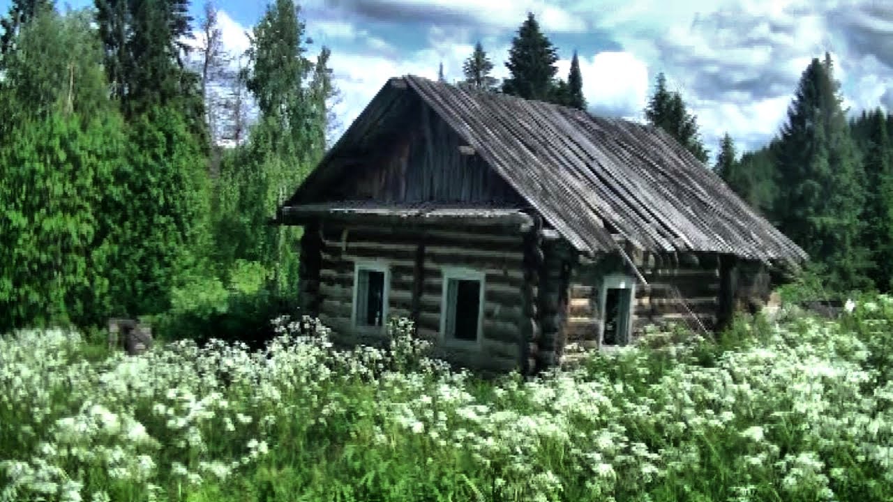 Мёртвые деревни, покинутые дома. Часть 1/2 #121