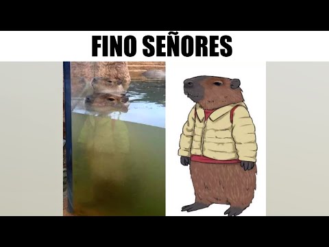 1 HORA DE MEMES EPICOS #300