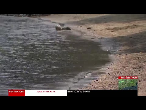 YouTube video thumbnail: CT Residents Raise Alarm Over Potentially Toxic Herbicide in Local Waters