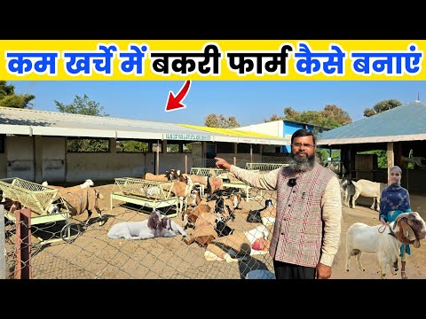 कम खर्चे में बकरी फार्म कैसे बनाएं | Low cost goat farm shed