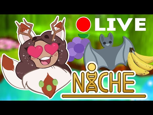 New Niche Update?! Adventure Time!! ?? Niche: Fruit Bats!? • LIVE ?