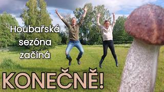 Konečně v lese. Kozák březový, hlíva plicní, holubinka namodralá. Houbaření na Karlovarsku 3.6.2026