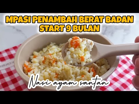 MPASI PENAMBAH BERAT BADAN UNTUK 9 BULAN KE ATAS | NAAI AYAM SANTAN