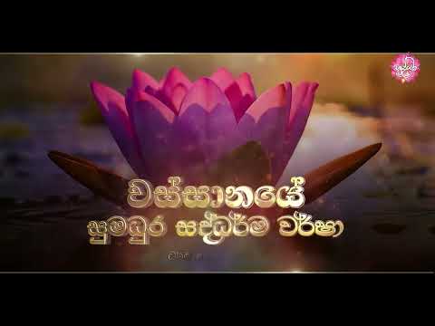 🌷 වස්සානයේ සුමධුර සද්ධර්ම වර්ෂා 📌 පොල්ගහවෙල මහමෙව්නාව භාවනා අසපුවේ වස්සාන ධර්ම දේශනා මාලාව - 2025