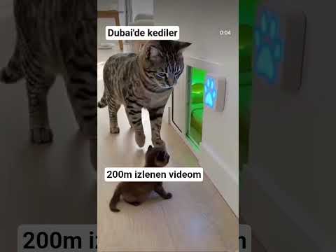 ikiyüz milyon izlenen videom