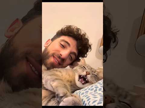 Cat scholar 😂😸#cat #catfunny #animalshorts #funny #pets #dog #petfails #funnyclips #petlover #shorts
