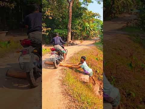 #sutto_kale_valobaisha_go #আমার_যৌবনের_বাগানে #bangla_viral_gaan #bangla_album_video