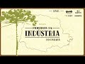 Indústria do Paraná: Questões e Respostas
