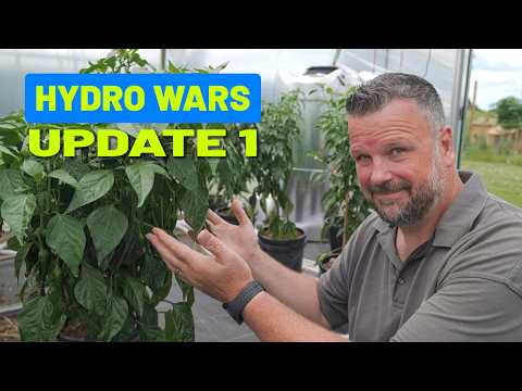 Massive Growth All 3 Systems! (Ep 4: Hydro Wars)