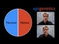 Epigenetics: Concepts and Impacts