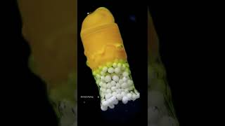 This is incredible (@macrofying) #shorts