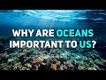 Ocean Conservation and Marine Life Awareness