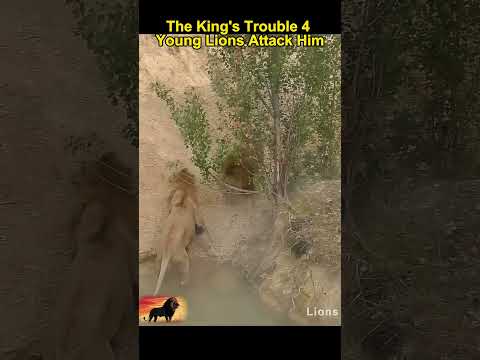 The King's in Trouble