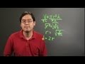Finding Radius and Diameter of Cylinders
