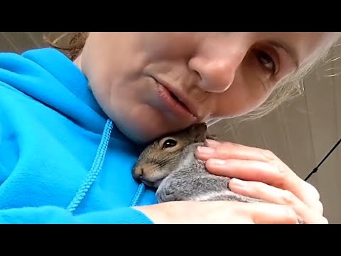 Woman does the sweetest thing for orphaned squirrel