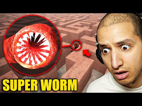 Do NOT Enter SUPER WORM MAZE...