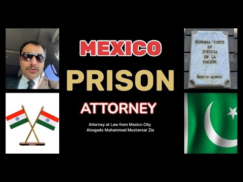 YouTuber & Tiktoker Project by Mexican Lawyer