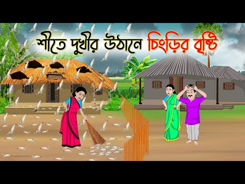 শীতে দুখীর উঠানে চিংড়ির বৃষ্টি | Bengali Fairy Tales Cartoon | Rupkothar Golpo | Thakumar Jhuli