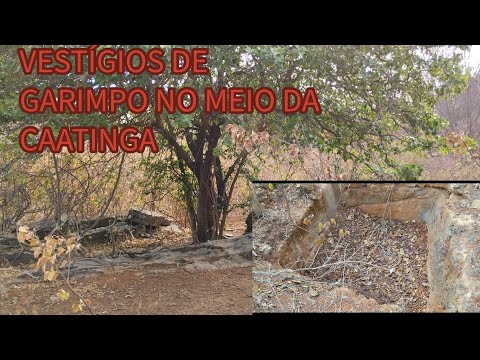 FUI PROCURAR PONTO PRA UM BEBEDOURO VEJA OQUE ACHEI