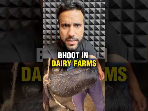 Ab Male Calf Ko Kyu Jaan Ke  Maarte Hai ? | Science and Fun #ashusir #shorts #dairyfarm #ytshorts