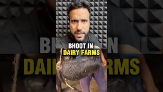 Ab Male Calf Ko Kyu Jaan Ke  Maarte Hai ? | Science and Fun #ashusir #shorts #dairyfarm #ytshorts