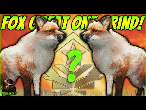 2 Piebald Red Fox On The Emerald Coast Great One Fox Grind! Call of the wild