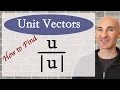 Unit Vectors and Magnitude Concepts