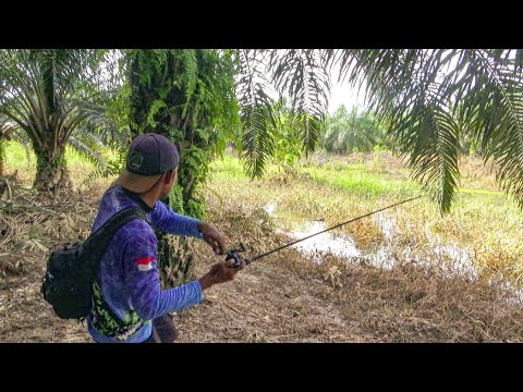 ANC4MAN Bagi Pemancing Saat Blusukan !!! || Test Lure A Fishing Tanpa Mocel