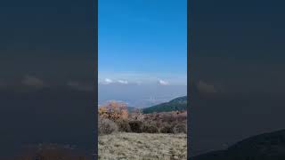 #българия