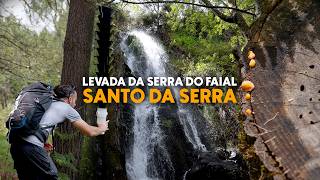 From Camacha to Santo da Serra - Beautiful Non-PR Hike in MADEIRA!