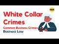 Understanding White-Collar Crimes