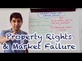 Property Rights and Resource Management