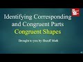 Understanding Congruent Shapes and Angles