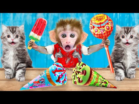 Monkey Bon Bon Eats Mukbang Ice cream with Cat - Maymun animals