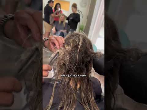 Dematting Hair